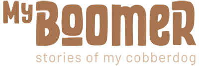 myboomer-blog