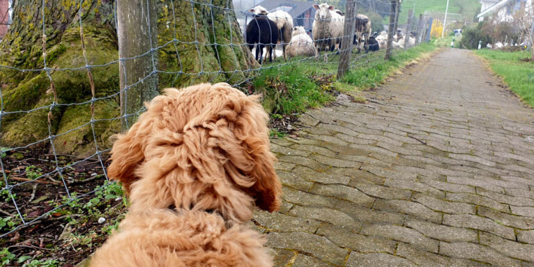 Woche 4
